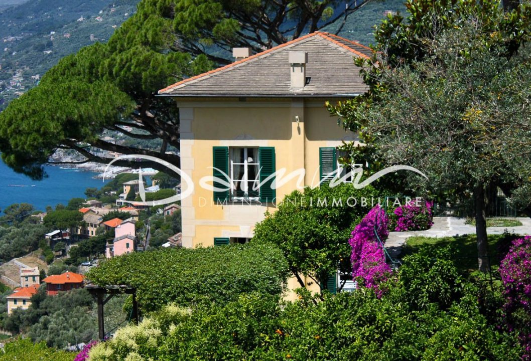 Vendita villa sul mare Camogli Liguria foto 9